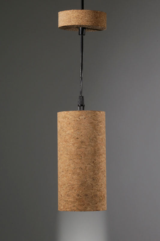 204302 מנורת תקרה שעם