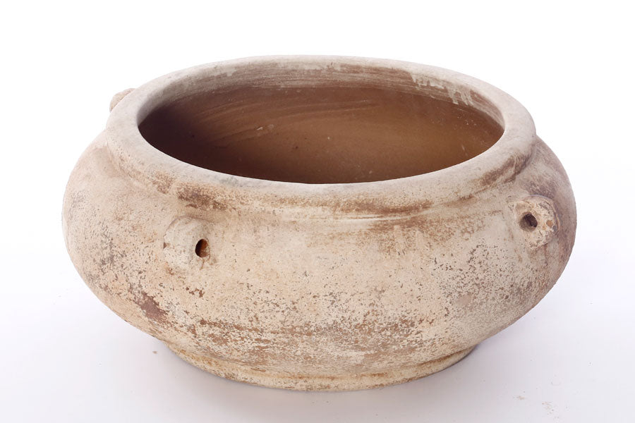 213726 קערה- בתי עציץ CHLMER COLONY