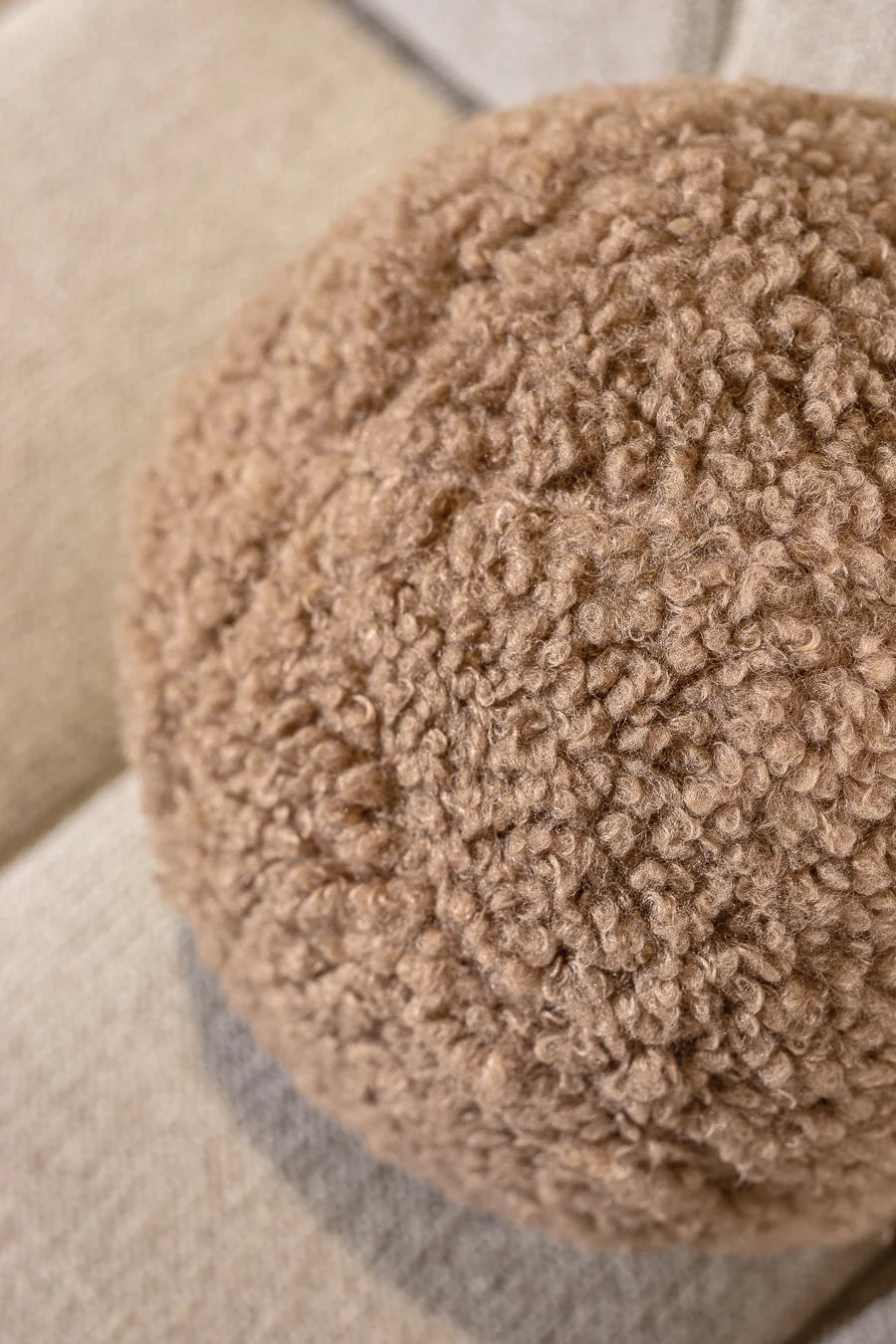 81321117504 כרית כדור פאפי בראון